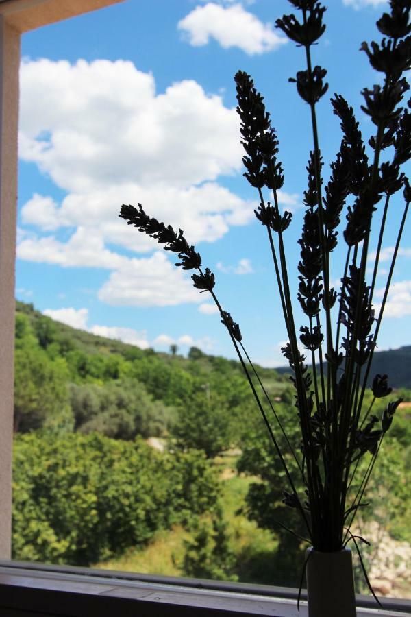 Vila Flora Secovlje Exterior photo